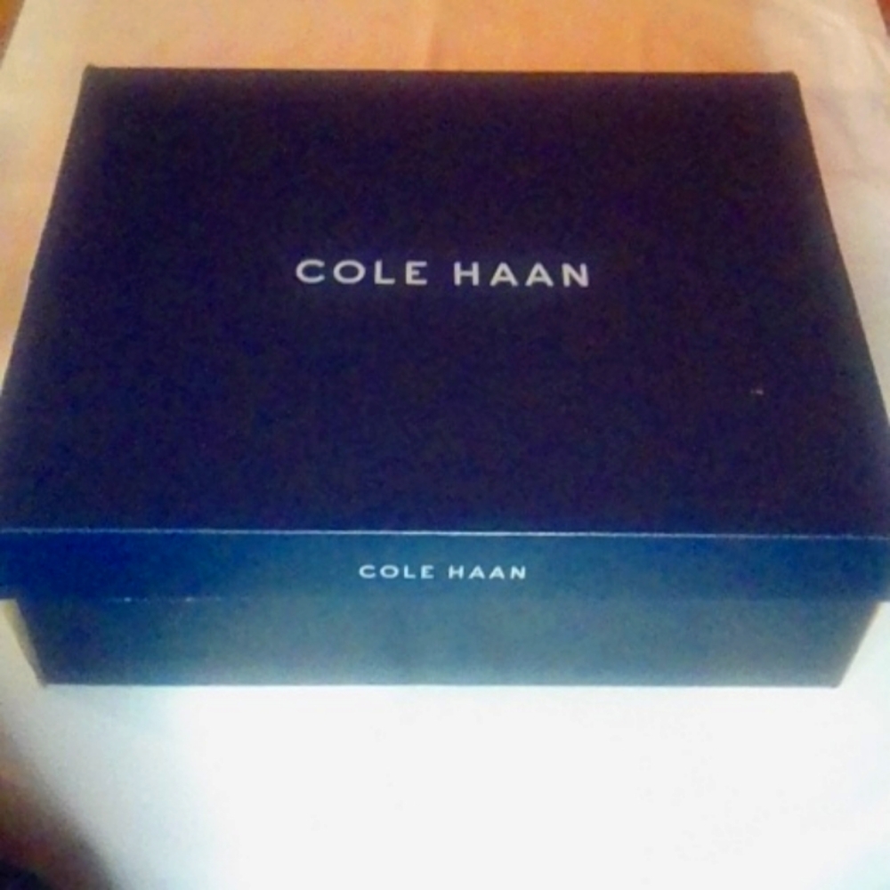 Cole Haan Shoe Box (EMPTY) 14.5 in x 12 in Depth 4 in (Navy Blue Box)